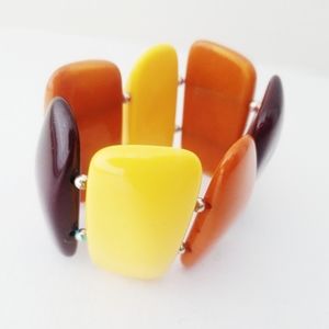 Earth Toned Bracelet